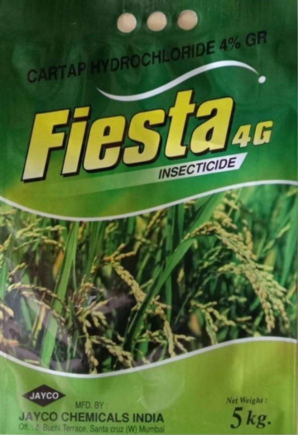 FIESTA 4G